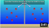 Variables video